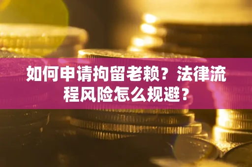 武汉如何申请拘留老赖？法律流程风险怎么规避？