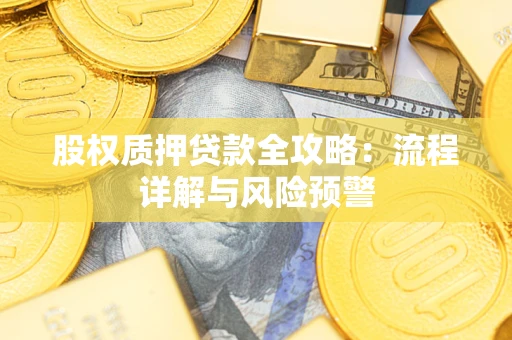 武汉股权质押贷款全攻略：流程详解与风险预警