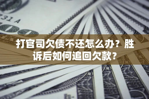 武汉打官司欠债不还怎么办？胜诉后如何追回欠款？