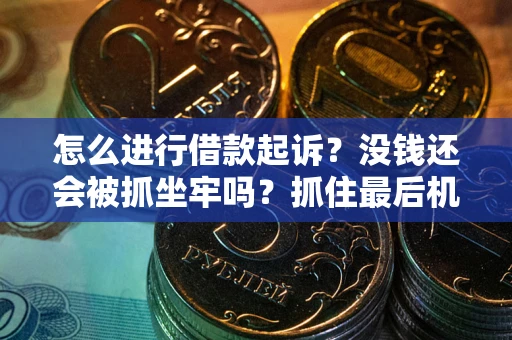 武汉怎么进行借款起诉？没钱还会被抓坐牢吗？抓住最后机会！
