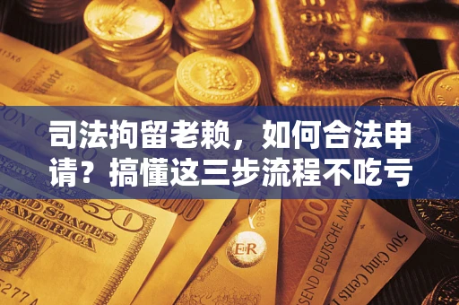 武汉司法拘留老赖，如何合法申请？搞懂这三步流程不吃亏！