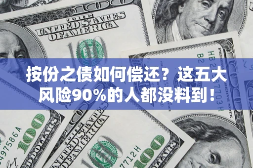 武汉按份之债如何偿还？这五大风险90%的人都没料到！