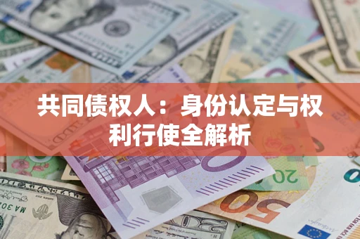 武汉共同债权人：身份认定与权利行使全解析