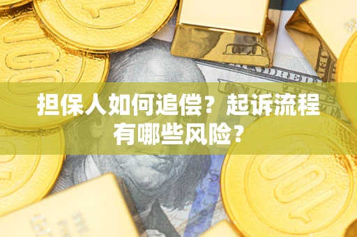 武汉担保人如何追偿？起诉流程有哪些风险？