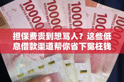 武汉担保费贵到想骂人？这些低息借款渠道帮你省下冤枉钱