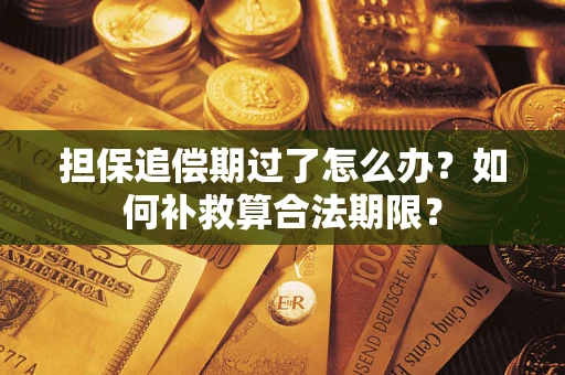 武汉担保追偿期过了怎么办？如何补救算合法期限？