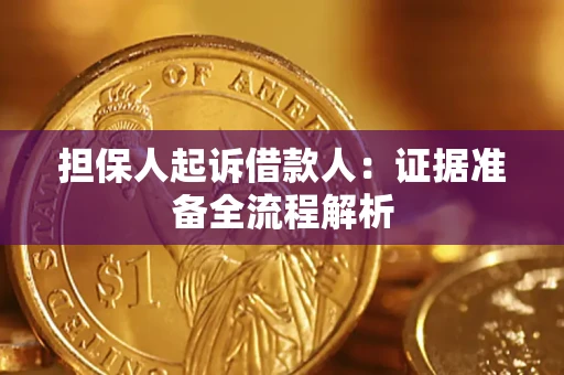 武汉担保人起诉借款人：证据准备全流程解析
