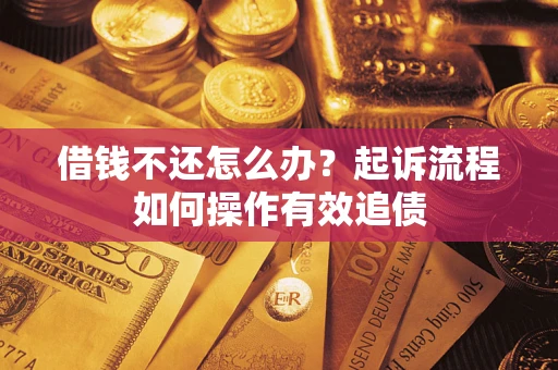 武汉借钱不还怎么办？起诉流程如何操作有效追债
