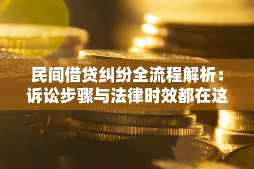 武汉民间借贷纠纷全流程解析：诉讼步骤与法律时效都在这儿了