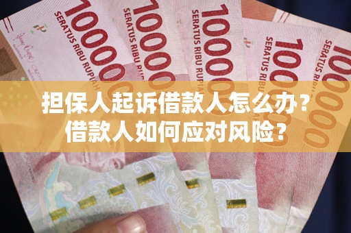 武汉担保人起诉借款人怎么办？借款人如何应对风险？