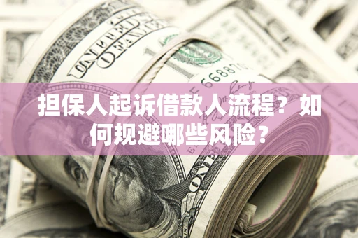 武汉担保人起诉借款人流程？如何规避哪些风险？