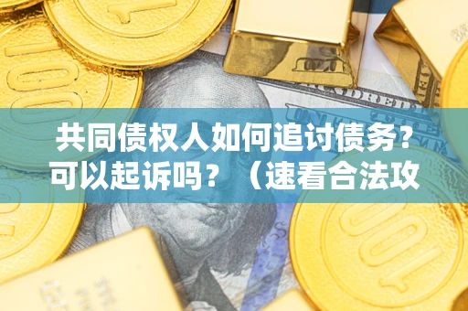 武汉共同债权人如何追讨债务？可以起诉吗？（速看合法攻略）