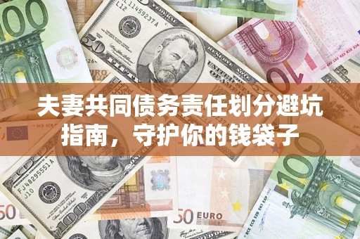 武汉夫妻共同债务责任划分避坑指南，守护你的钱袋子