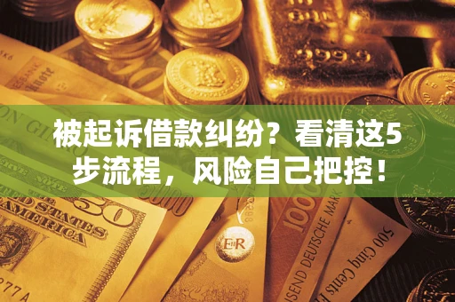 武汉被起诉借款纠纷？看清这5步流程，风险自己把控！