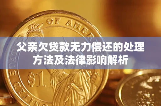 武汉父亲欠贷款无力偿还的处理方法及法律影响解析