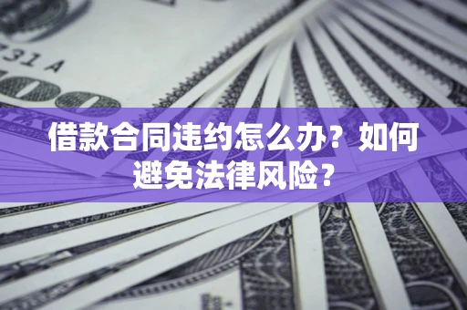 武汉借款合同违约怎么办？如何避免法律风险？