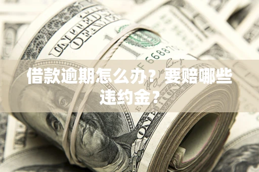 武汉借款逾期怎么办？要赔哪些违约金？