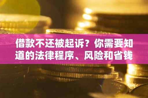 武汉借款不还被起诉？你需要知道的法律程序、风险和省钱技巧