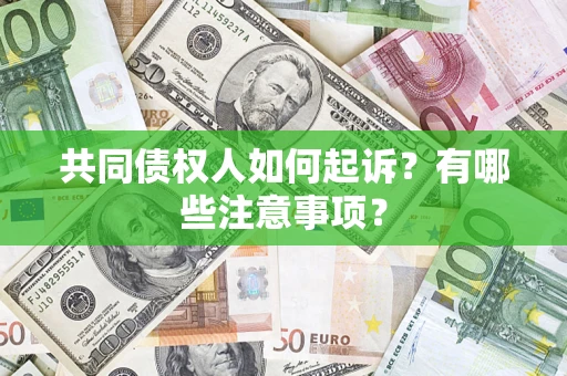 武汉共同债权人如何起诉？有哪些注意事项？